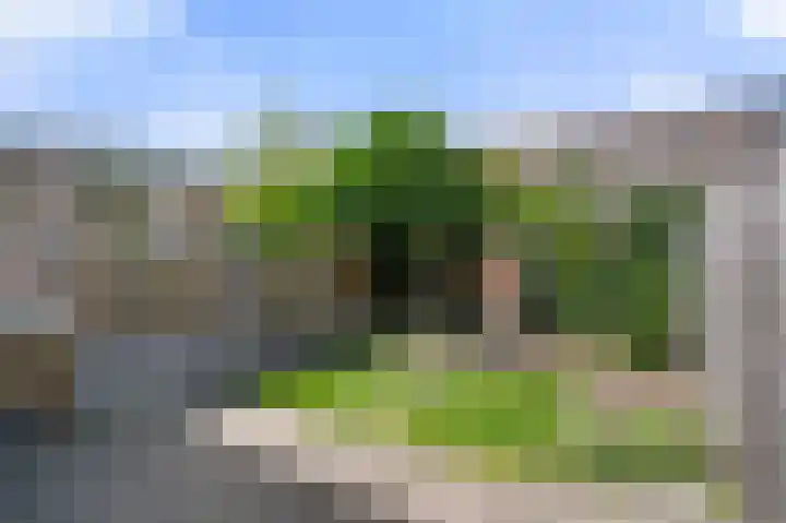Haydnstraat 25 Veenendaal thumbnail 33
