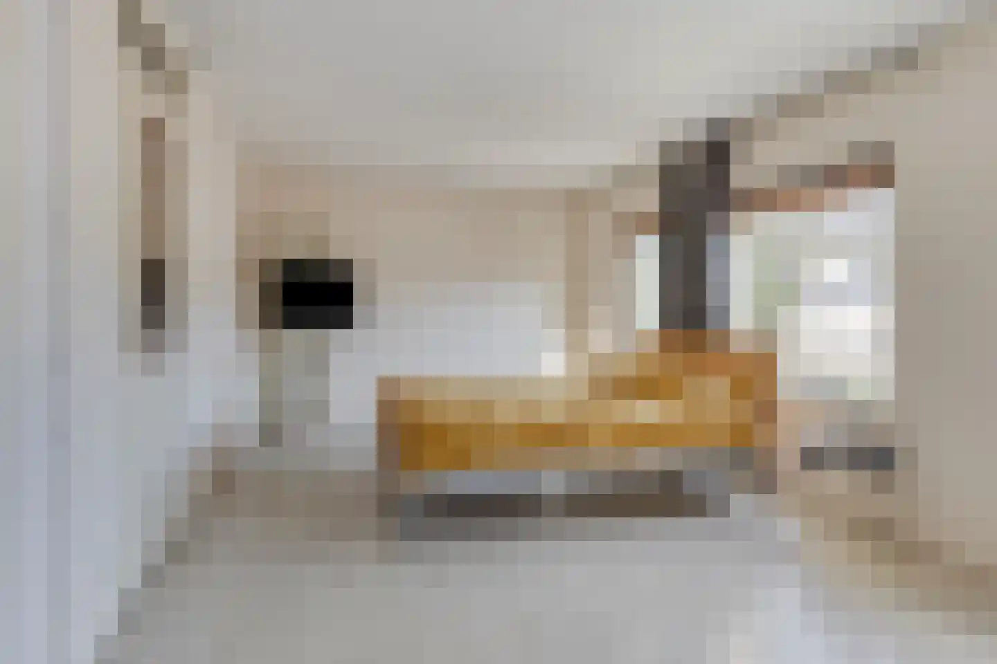 Haydnstraat 266 Tilburg thumbnail 22