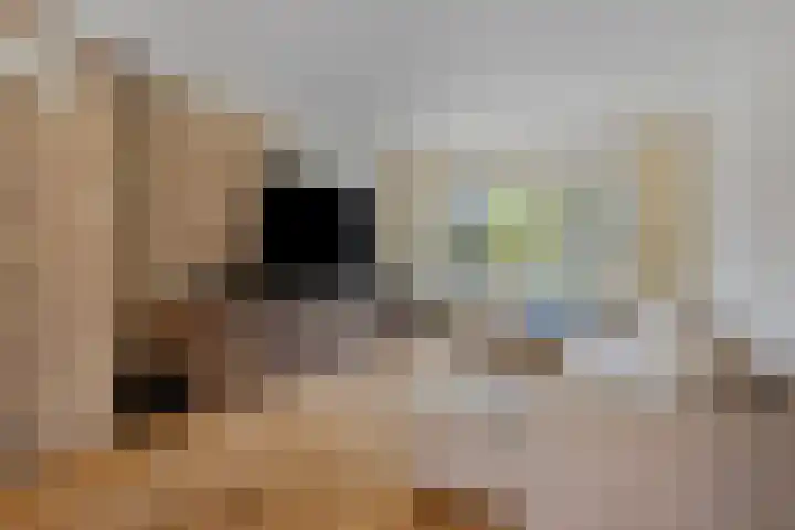Haydnstraat 3 Deurne thumbnail 14