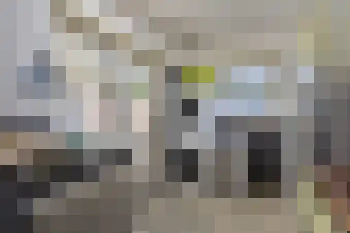 Haydnstraat 3 Deurne thumbnail 18