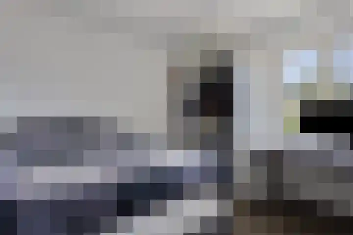 Haydnstraat 3 Deurne thumbnail 26