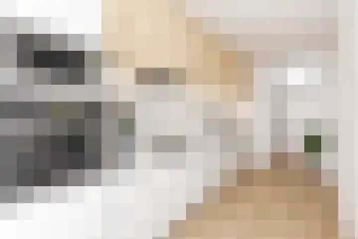 Haydnstraat 3 Deurne thumbnail 38