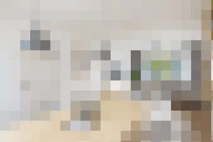 Haydnstraat 3 Deurne thumbnail 39