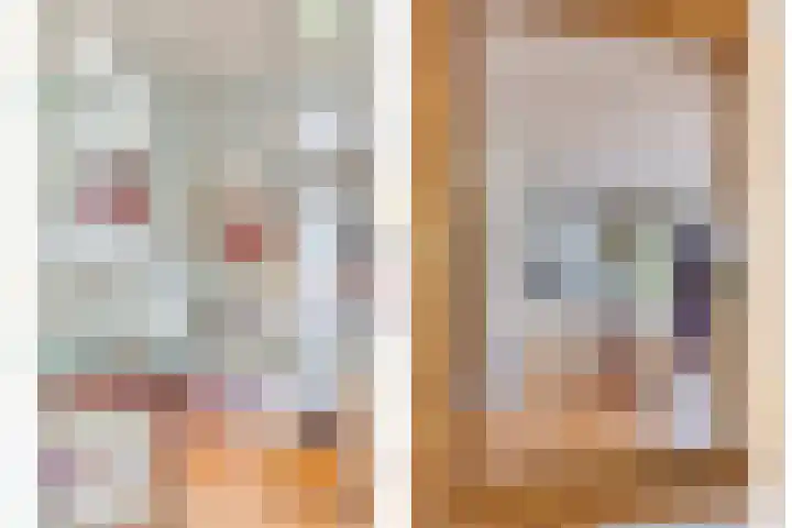 Haydnstraat 3 Halsteren thumbnail 13