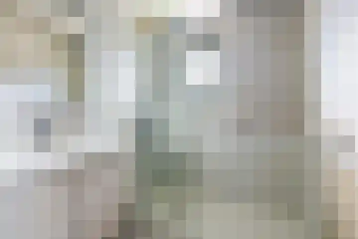 Haydnstraat 3 Halsteren thumbnail 23