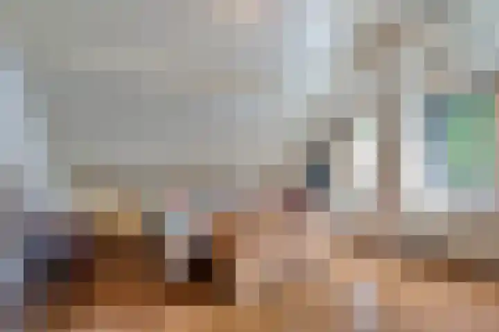 Haydnstraat 3 Halsteren thumbnail 28