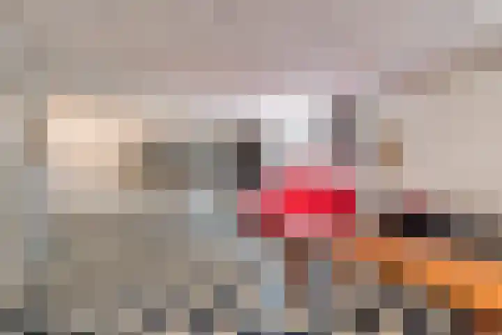 Haydnstraat 3 Halsteren thumbnail 36