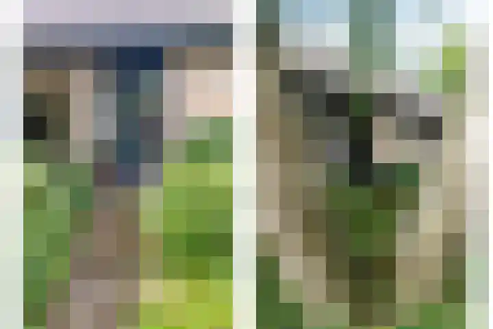 Haydnstraat 3 Halsteren thumbnail 4