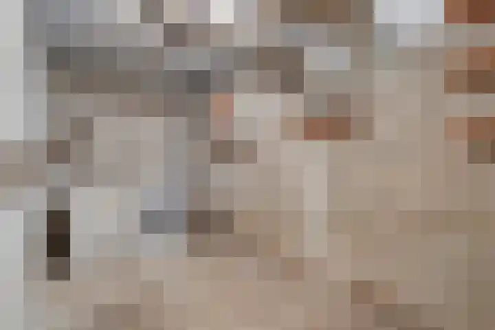 Haydnstraat 3 Halsteren thumbnail 40