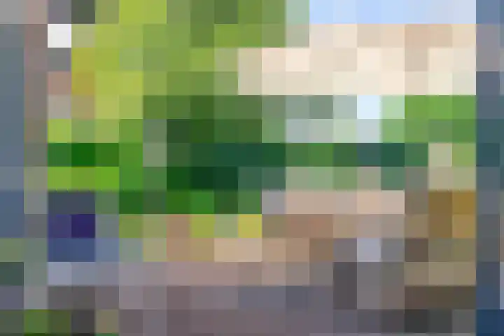 Haydnstraat 3 Halsteren thumbnail 42