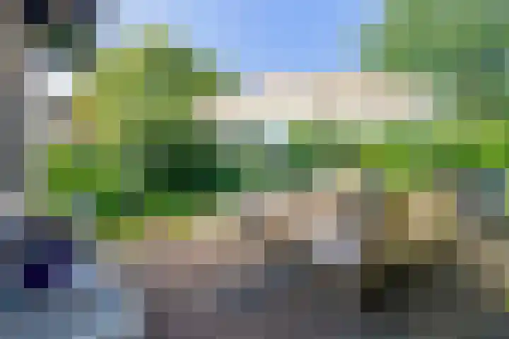 Haydnstraat 3 Halsteren thumbnail 43