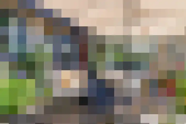 Haydnstraat 3 Halsteren thumbnail 45