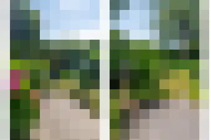 Haydnstraat 3 Halsteren thumbnail 46