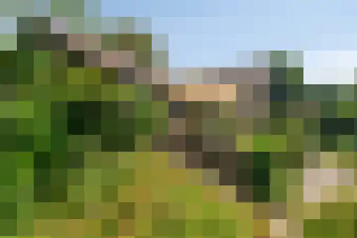 Haydnstraat 3 Halsteren thumbnail 47