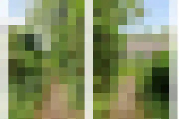 Haydnstraat 3 Halsteren thumbnail 48