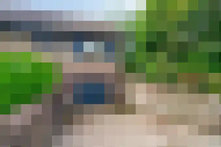 Haydnstraat 3 Halsteren thumbnail 5