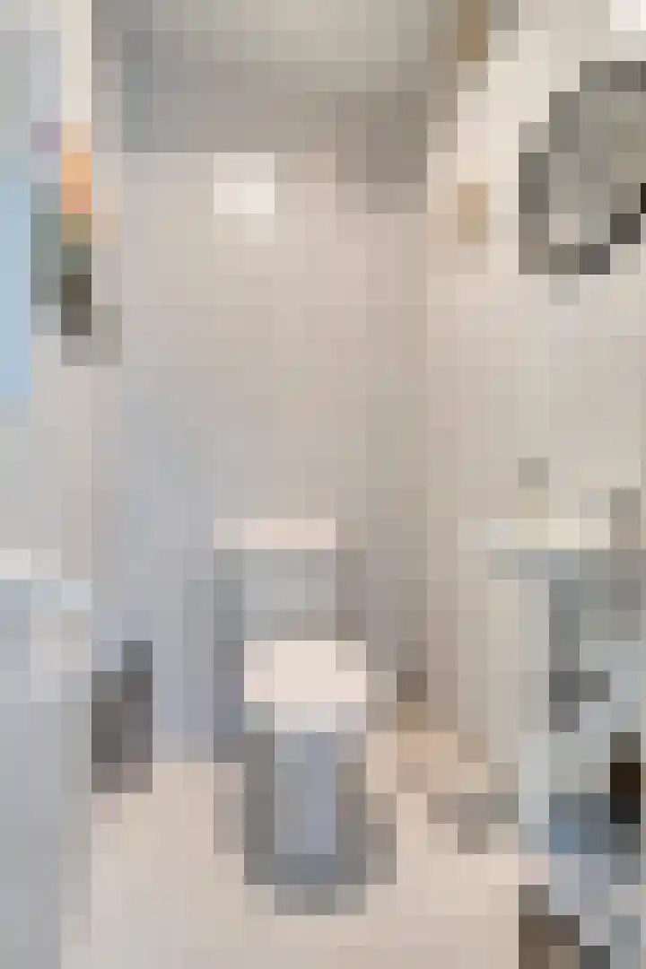 Haydnstraat 3 Halsteren thumbnail 7