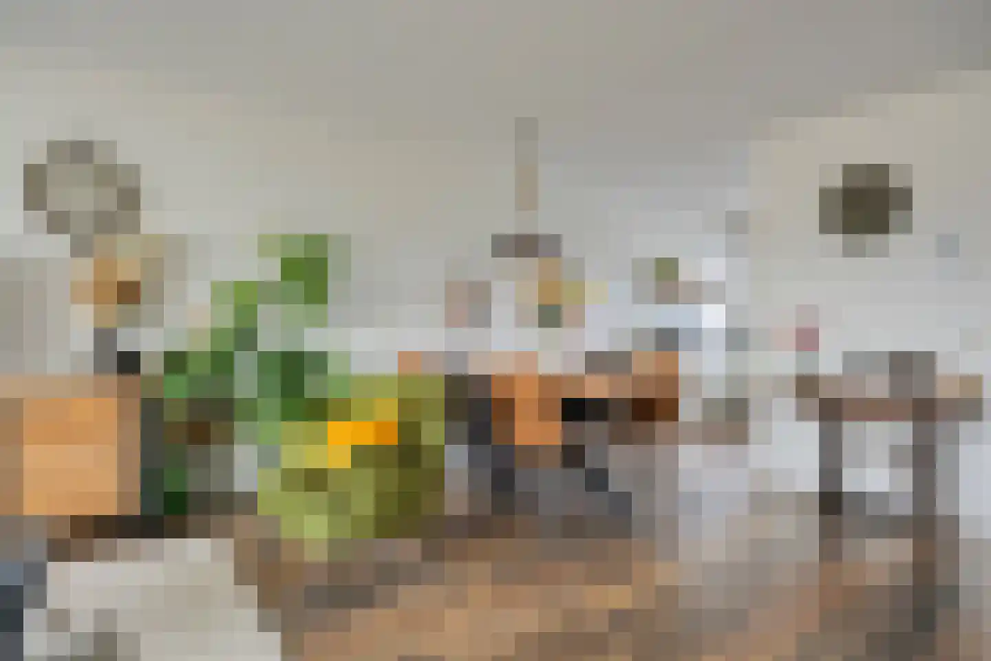 Haydnstraat 36 Capelle aan den IJssel thumbnail 9