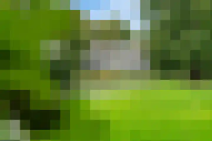 Haydnstraat 37 C Amersfoort thumbnail 39