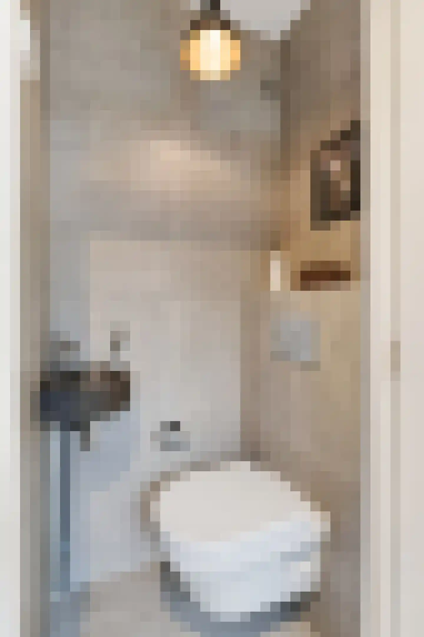 Haydnstraat 391 Tilburg thumbnail 5