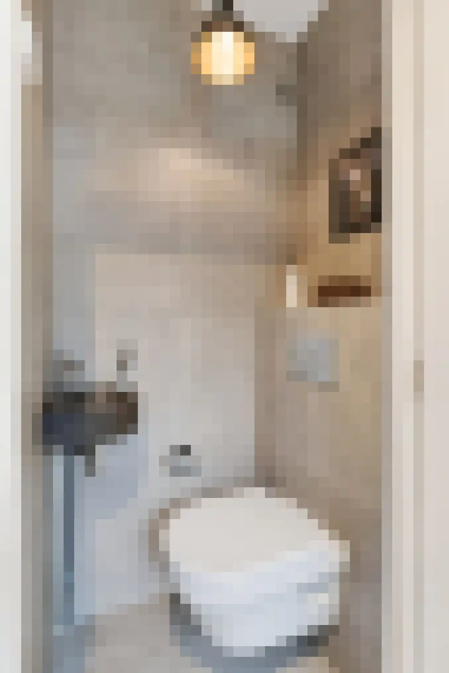 Haydnstraat 391 Tilburg thumbnail 5