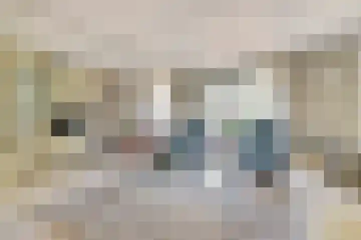 Haydnstraat 40 Zwijndrecht thumbnail 5