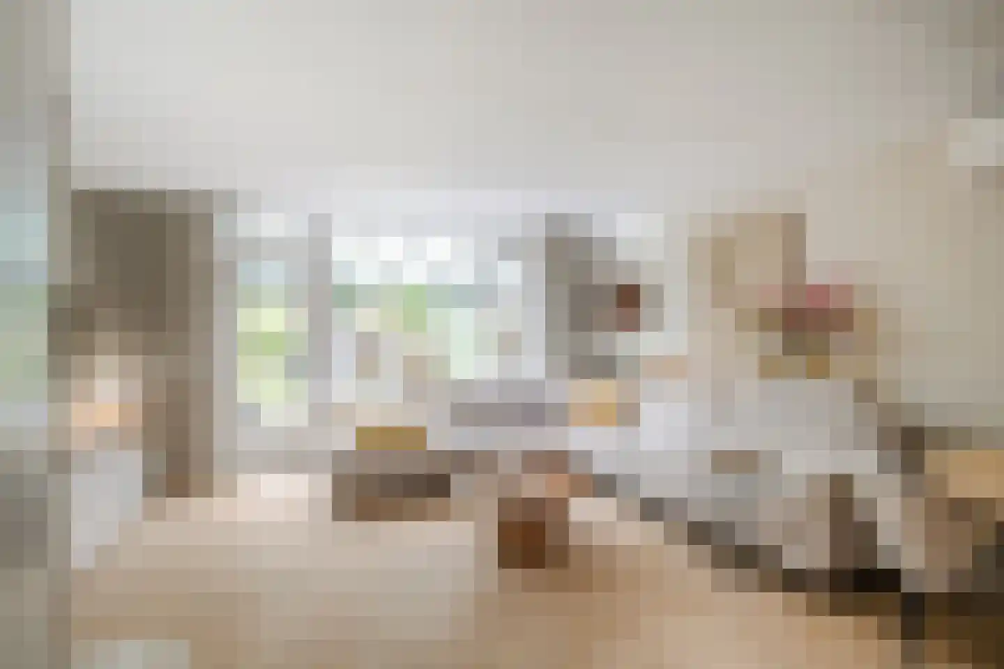 Haydnstraat 42 Losser thumbnail 12