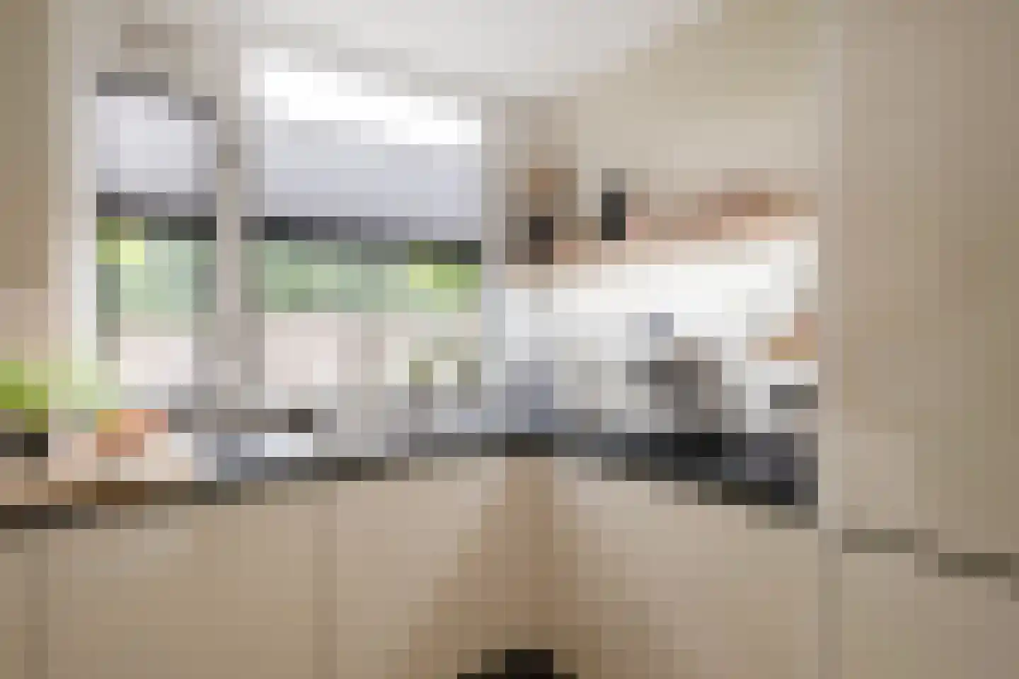 Haydnstraat 42 Losser thumbnail 17