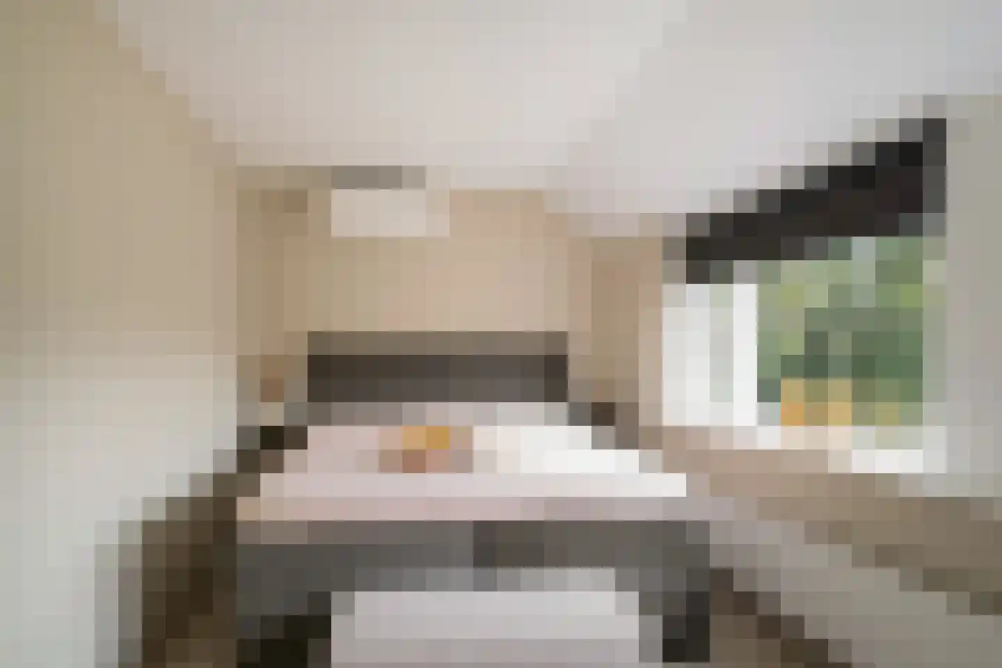 Haydnstraat 42 Losser thumbnail 18