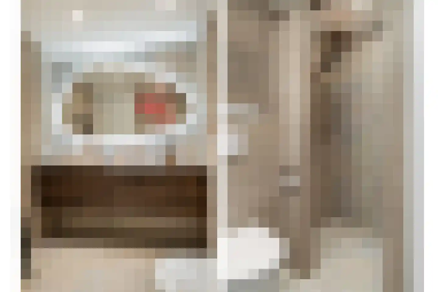 Haydnstraat 42 Losser thumbnail 23