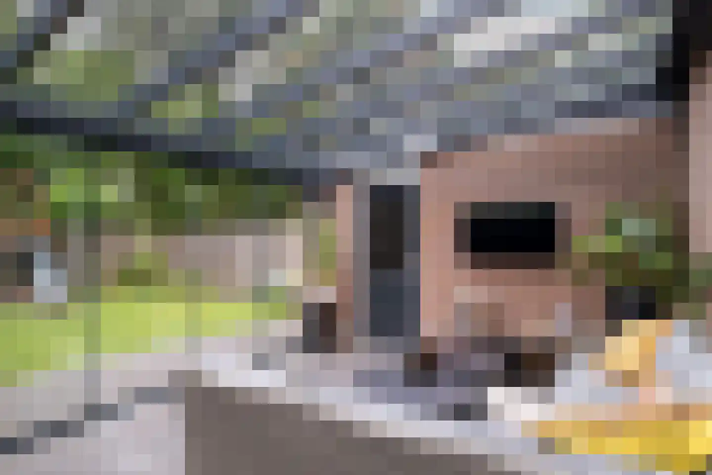 Haydnstraat 42 Losser thumbnail 28
