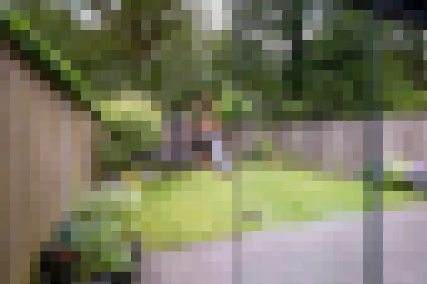Haydnstraat 42 Losser thumbnail 29