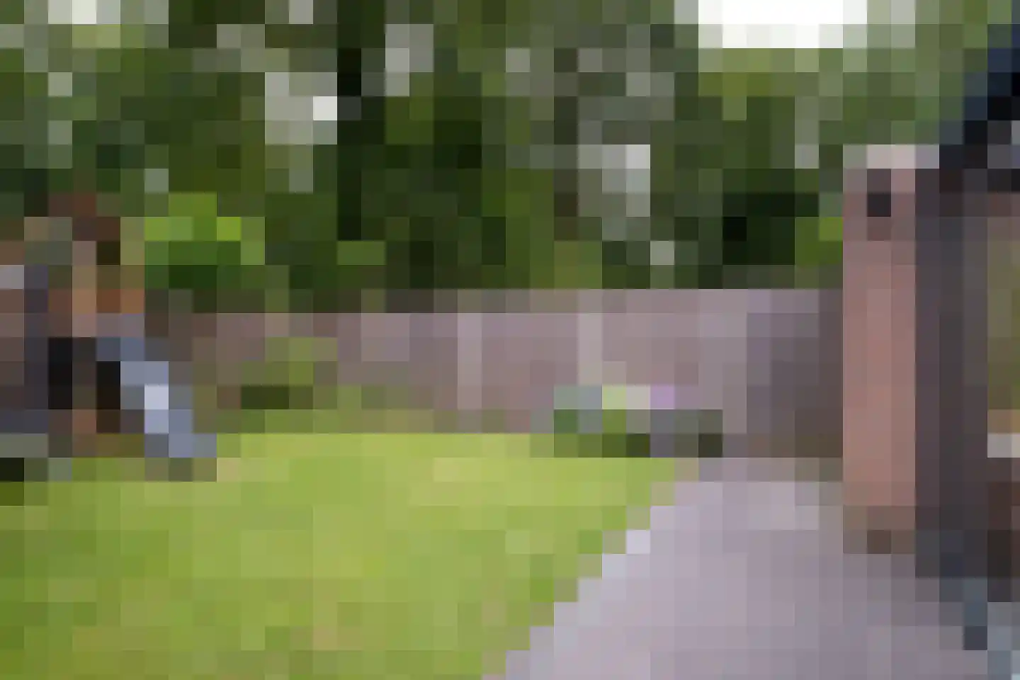 Haydnstraat 42 Losser thumbnail 30