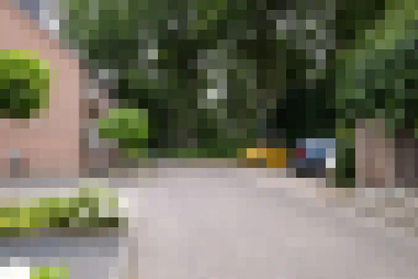 Haydnstraat 42 Losser thumbnail 34