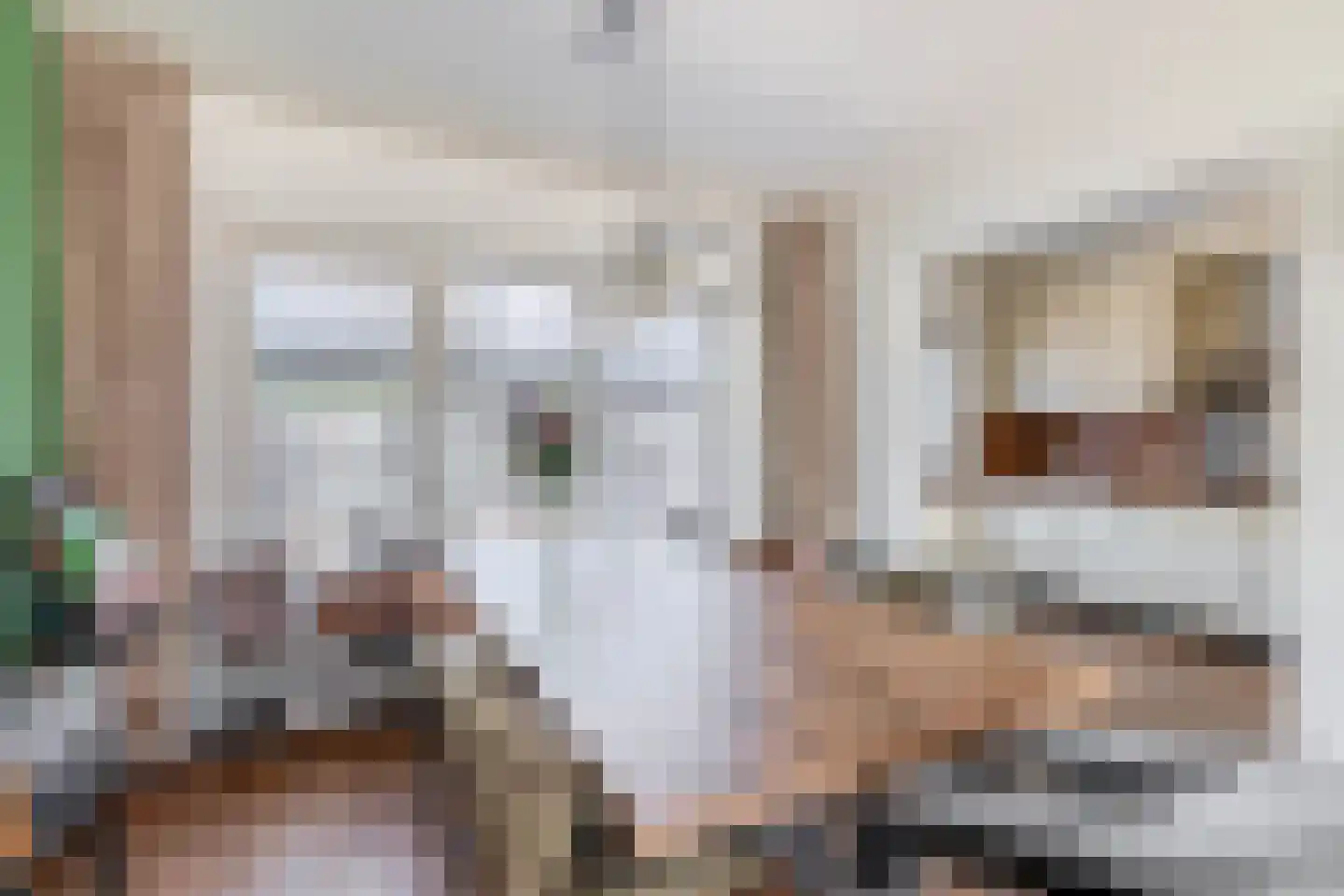 Haydnstraat 5 Deurne thumbnail 18