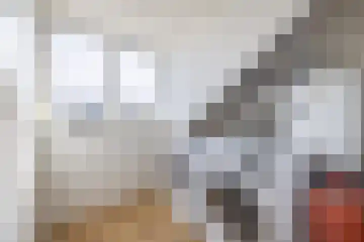 Haydnstraat 5 Waalwijk thumbnail 31