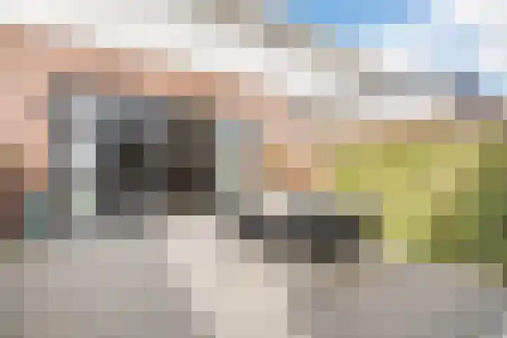 Haydnstraat 5 Waalwijk thumbnail 34