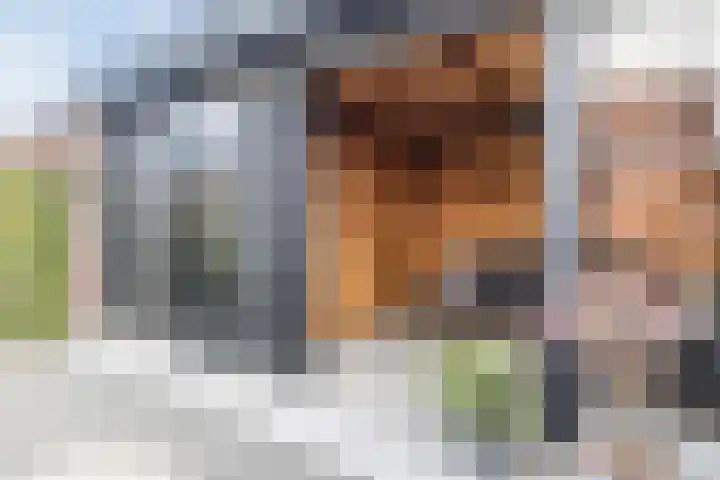 Haydnstraat 5 Waalwijk thumbnail 38