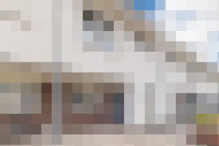 Haydnstraat 5 Waalwijk thumbnail 43