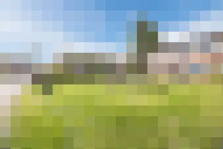 Haydnstraat 5 Waalwijk thumbnail 48