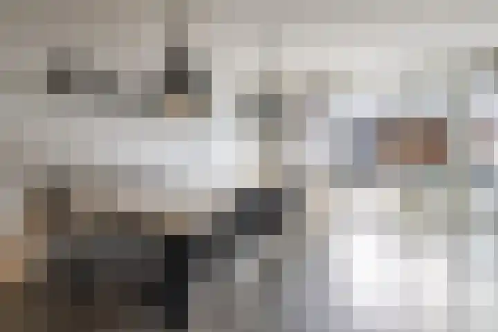 Haydnstraat 5 Waalwijk thumbnail 5