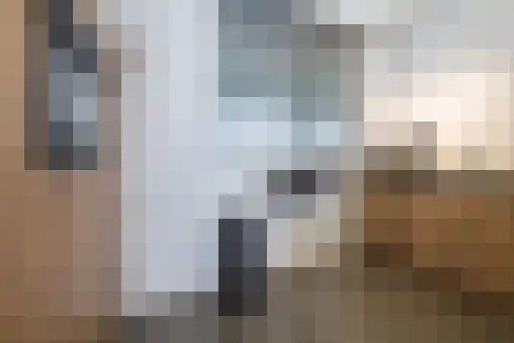 Haydnstraat 5 Waalwijk thumbnail 7