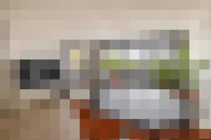 Haydnstraat 56 Capelle aan den IJssel thumbnail 16