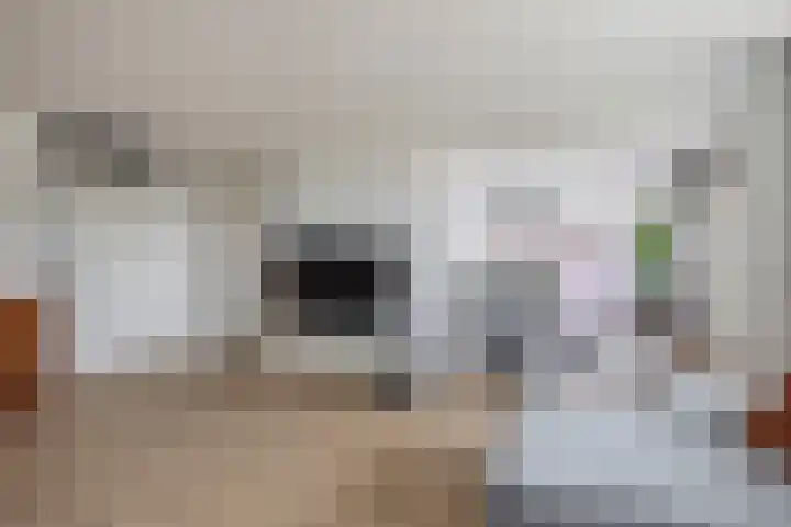 Haydnstraat 56 Capelle aan den IJssel thumbnail 18