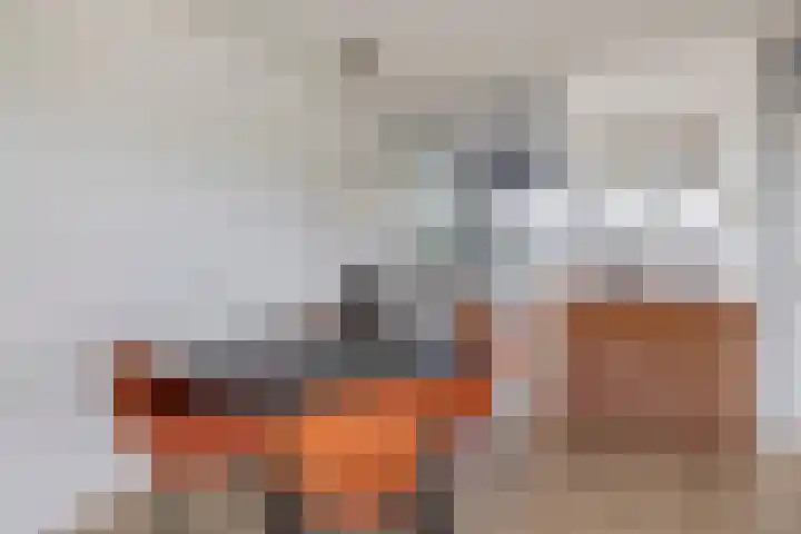 Haydnstraat 56 Capelle aan den IJssel thumbnail 19