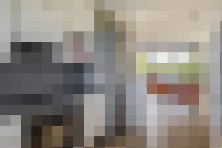 Haydnstraat 56 Capelle aan den IJssel thumbnail 25
