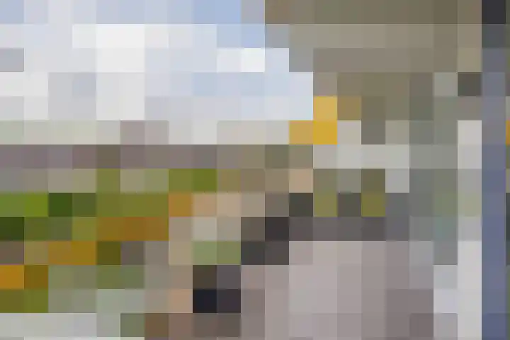 Haydnstraat 56 Capelle aan den IJssel thumbnail 26