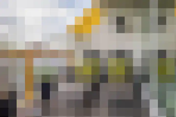 Haydnstraat 56 Capelle aan den IJssel thumbnail 27