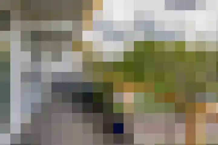 Haydnstraat 56 Capelle aan den IJssel thumbnail 28