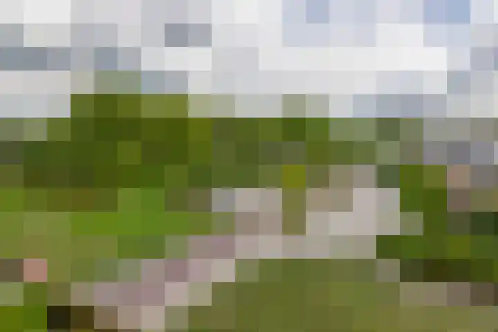 Haydnstraat 56 Capelle aan den IJssel thumbnail 29